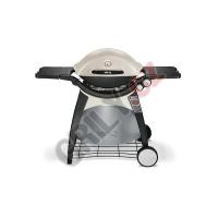 Gril Weber Q 300