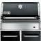 plynov� gril Genesis E 320