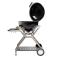 Gril Outdoorchef Ascona 570 G