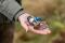 Vai Bleuet Micro Plus