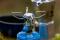 Vai Bleuet Micro Plus