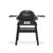 Gril Weber Q 1200N Stand