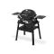 Gril Weber Q 1200N Stand