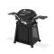Gril Weber Q 2800N+ Premium Stand
